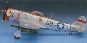 P-47D Thunderbold (Vista 8)