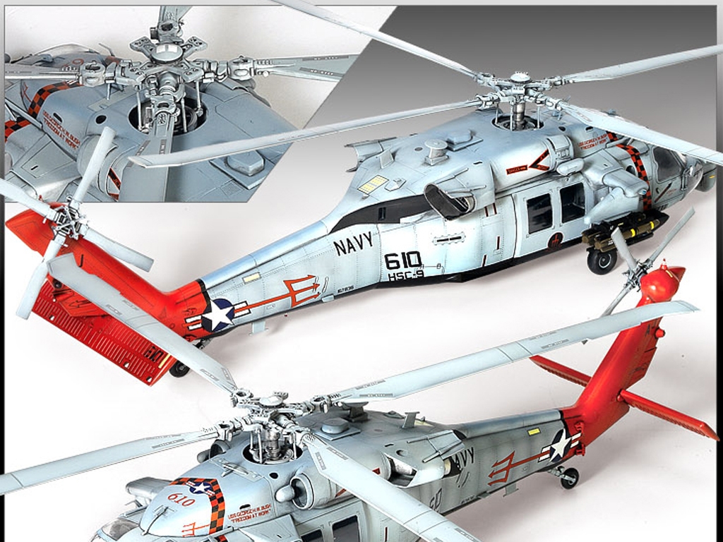 U.S.Navy MH-60S HSC-9 Tridents  (Vista 5)