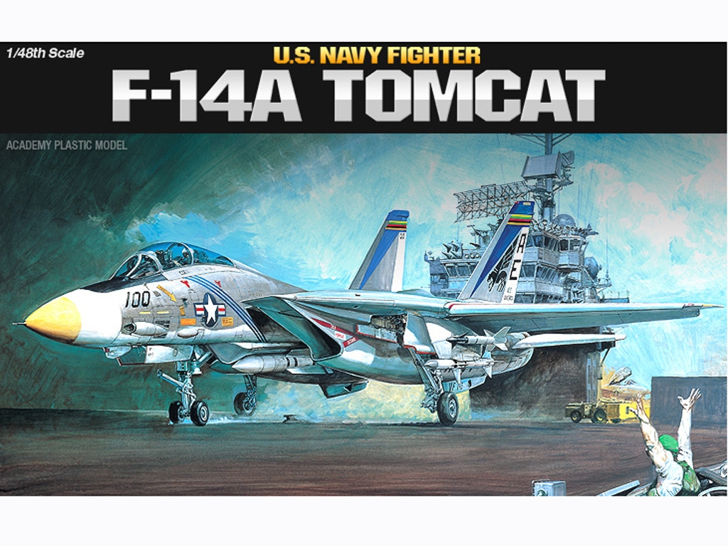 F-14A Tomcat (Vista 6)
