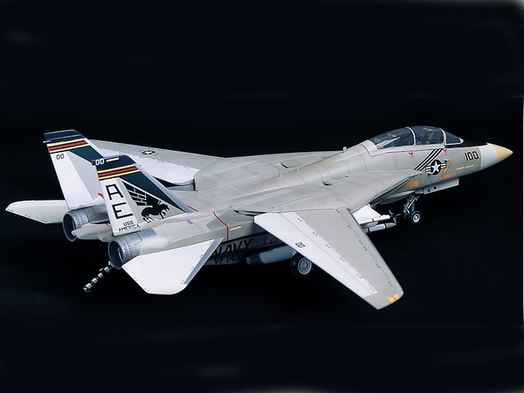 F-14A Tomcat (Vista 9)