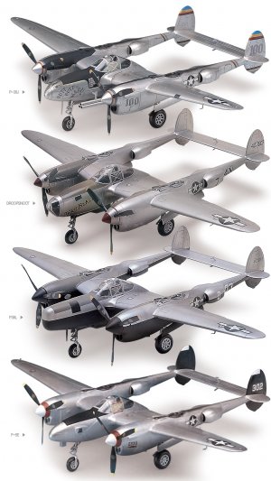 P-38 J/L/Droop Snoot/F5E  (Vista 4)