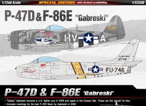 P-47D & F-86E Gabreski  (Vista 1)