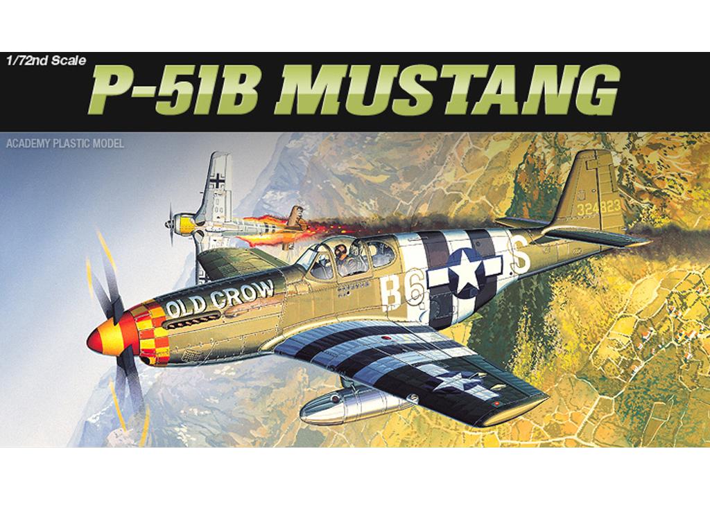 P-51B Mustang  (Vista 1)