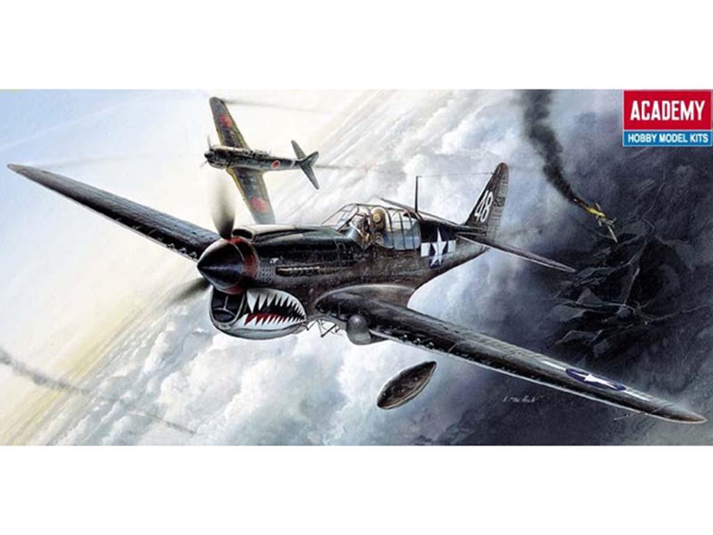 P-40 M/N Warhawk  (Vista 1)