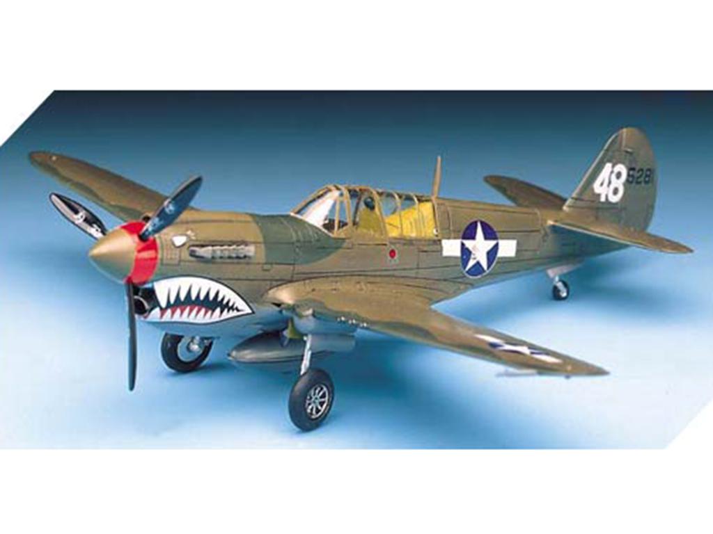 P-40 M/N Warhawk  (Vista 2)