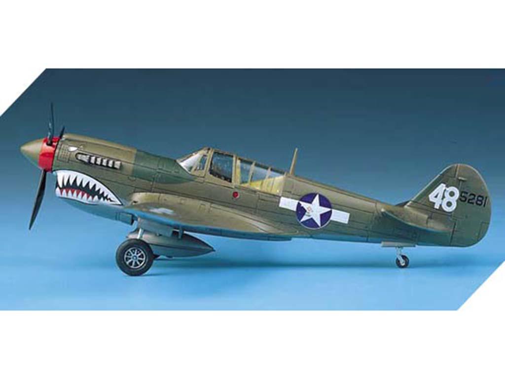 P-40 M/N Warhawk  (Vista 3)