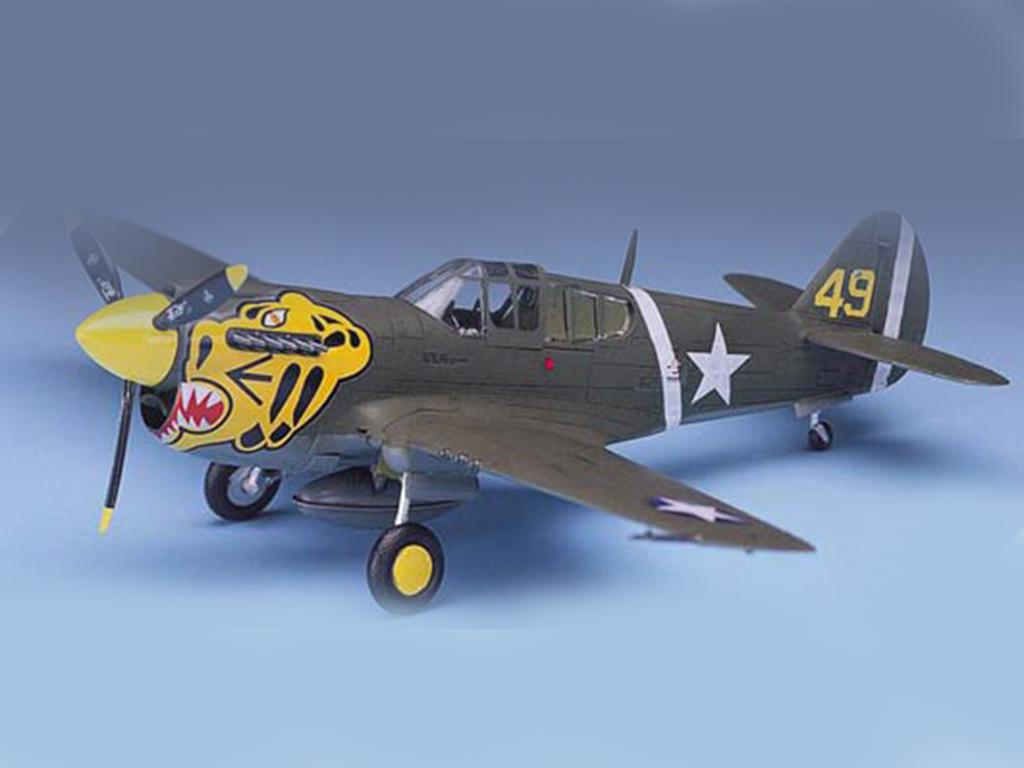P-40E Warhawk  (Vista 2)