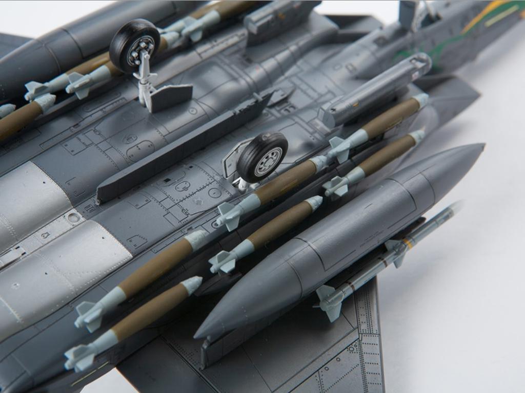 USAF F-15E 333th Fighter Squadron (Vista 6)