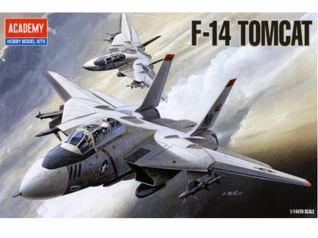 F-14 Tomcat (Vista 1)