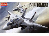 F-14 Tomcat (Vista 2)