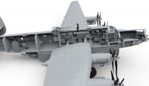 Avro Shackleton MR2  (Vista 4)