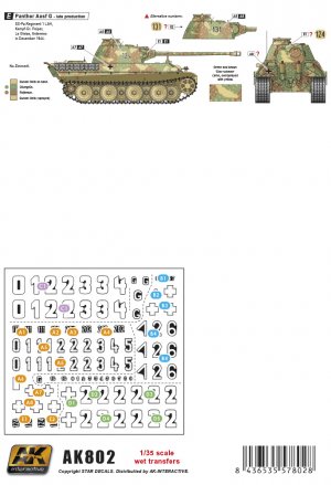 Transfer Campaña Aredenas  (Vista 3)
