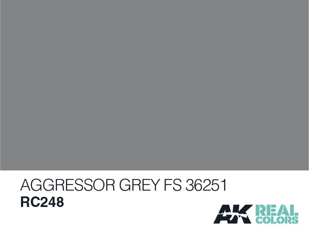 Aggressor Grey FS 36251 (Vista 2)