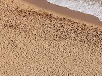 Playa de arena (Vista 4)