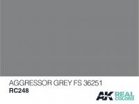 Aggressor Grey FS 36251 (Vista 4)