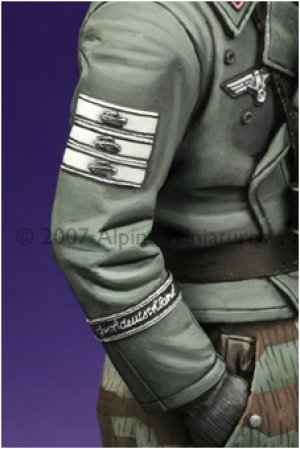 Oficial Panzer  (Vista 6)