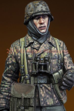 LAH Grenadier in the Ardennes   (Vista 6)