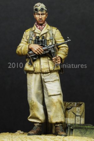 German DAK Fallschirjager  (Vista 2)