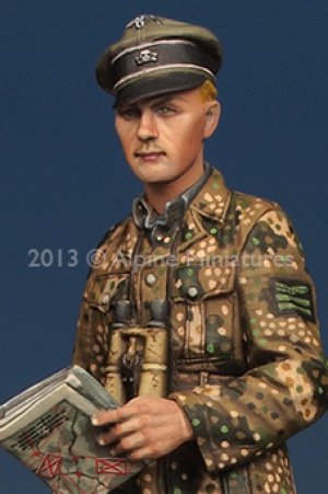 WSS Grenadier Officer (Vista 7)