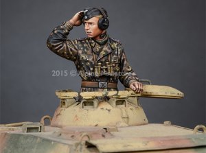 WSS Panzer Commander #1 (Vista 7)