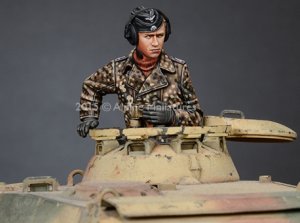 WSS Panzer Commander #2 (Vista 8)