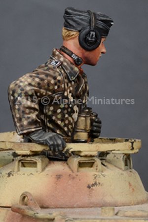 WSS Panzer Commander Set  (Vista 6)