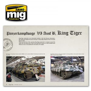 King Tiger  (Vista 3)