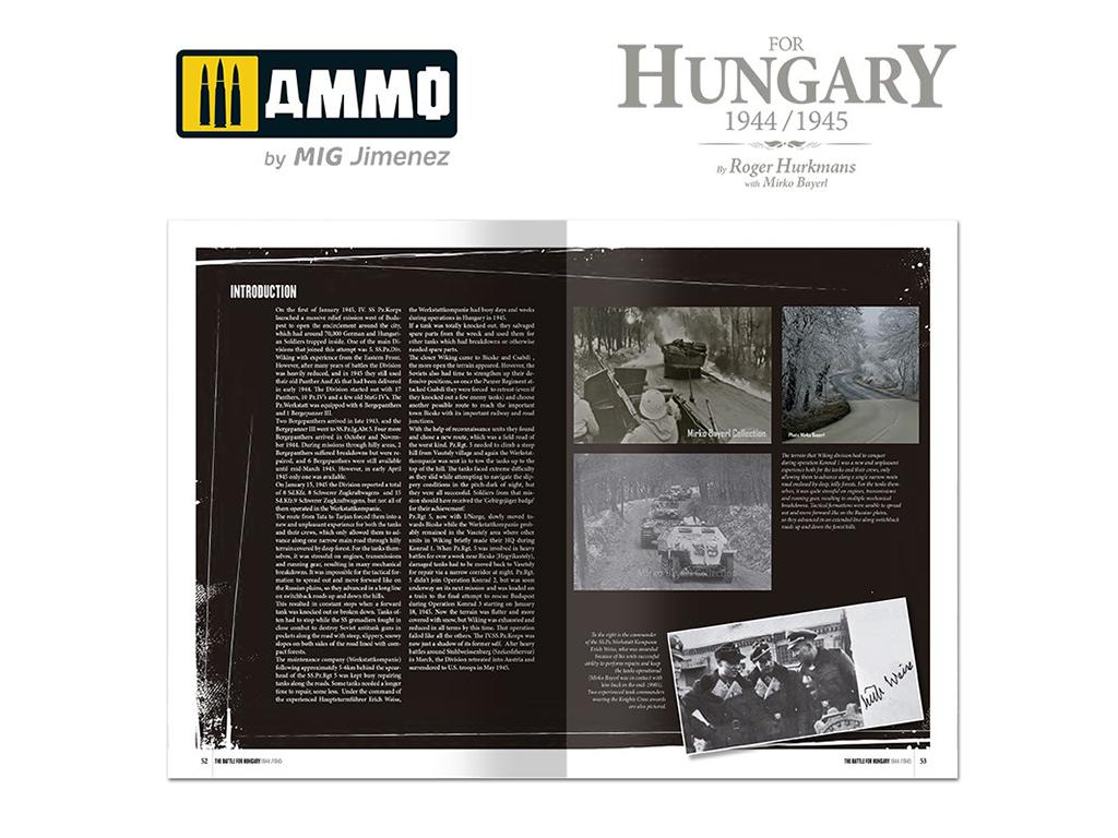 La Batalla de Hungría 1944/1945 (Vista 8)
