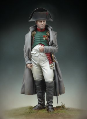 Napoleon en Redingote (Vista 5)