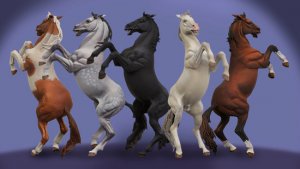 Caballo  (Vista 1)
