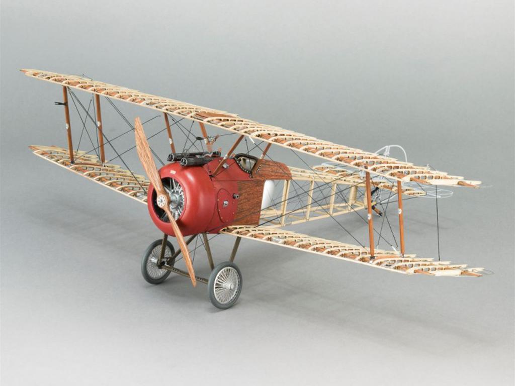 Sopwith Camel F1 1918 (Vista 5)