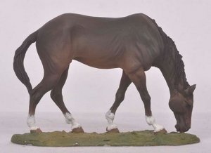 Grazing Horse (Vista 7)