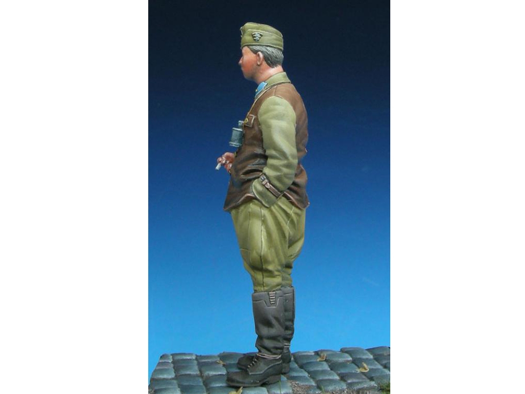 Hungarian Panzer Officer  (Vista 5)