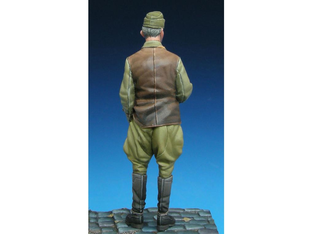 Hungarian Panzer Officer  (Vista 7)