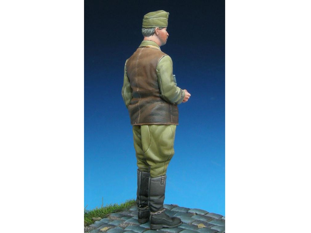 Hungarian Panzer Officer  (Vista 8)