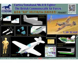 Curtiss Tomahawk MK.II B Fighter  (Vista 3)