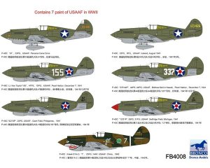 Curtiss P-40C Warhawk Fighter  (Vista 2)