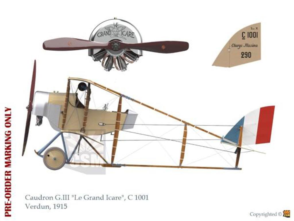 CAUDRON G.III French WWI biplane (Vista 3)