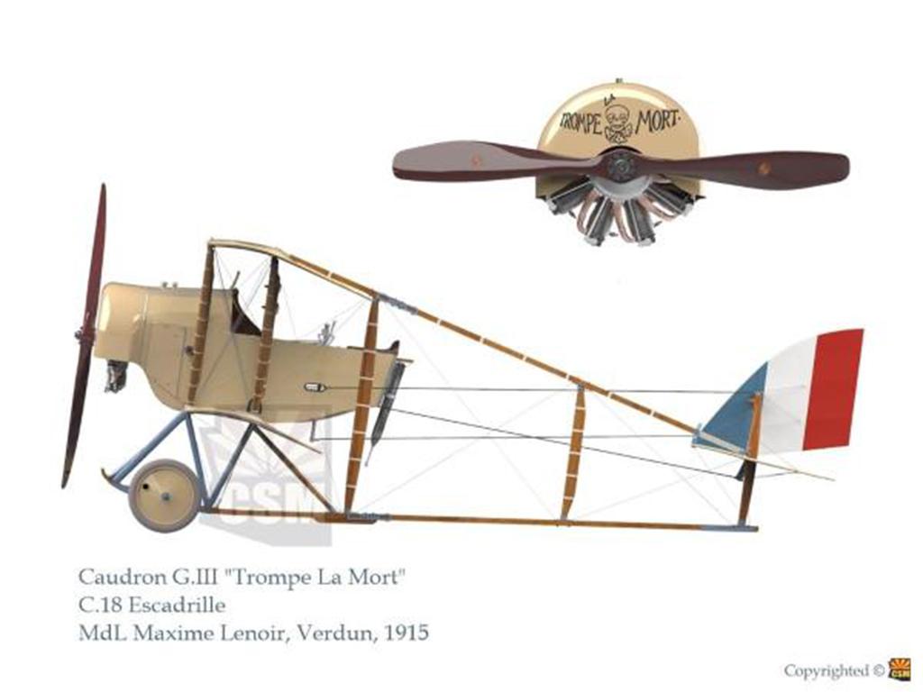 CAUDRON G.III French WWI biplane (Vista 5)
