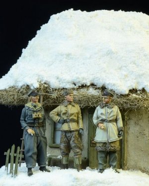 Waffen SS Officers Winter 1943-45  (Vista 1)