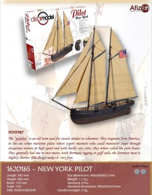 Pilot New York  (Vista 3)