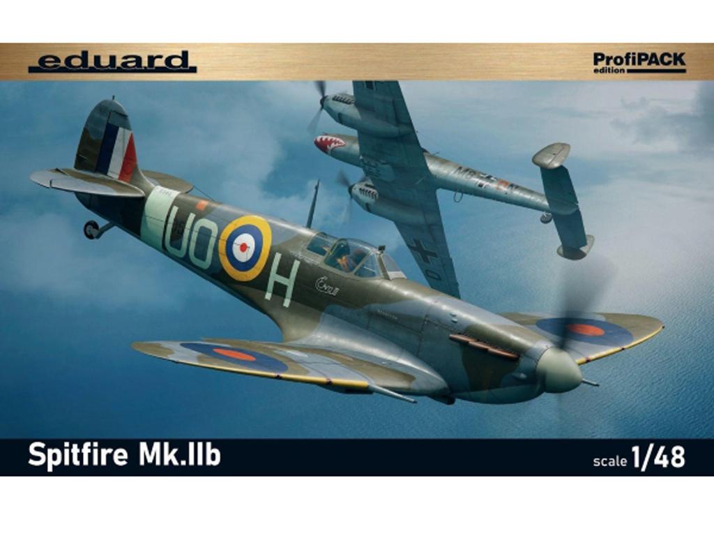 Spitfire Mk.IIb (Vista 1)