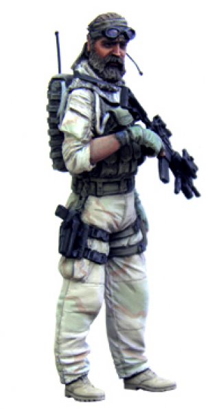 U.S. Special Forces Operator   (Vista 2)