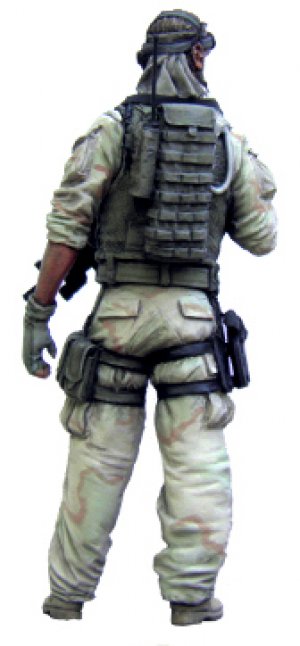 U.S. Special Forces Operator   (Vista 3)