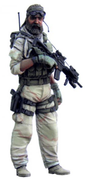 U.S. Special Forces Operator   (Vista 4)