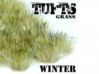Matas Cesped Invierno (Vista 6)