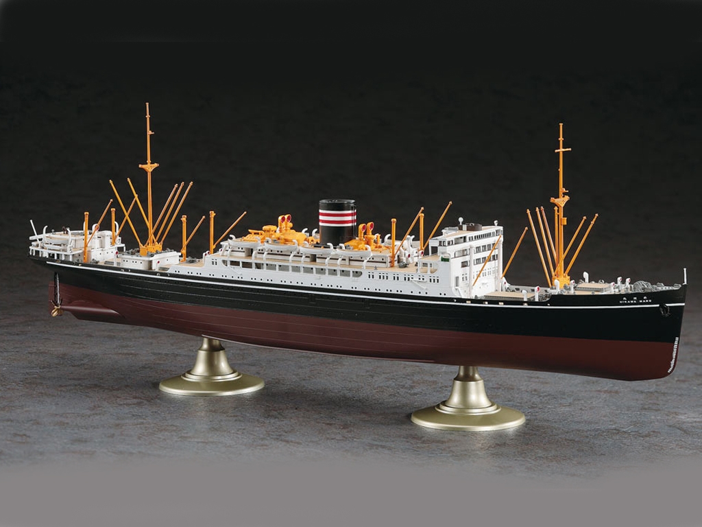 N.Y.K. Line Hikawa Maru  (Vista 4)