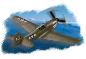 P-40N “Warhawk”  (Vista 1)
