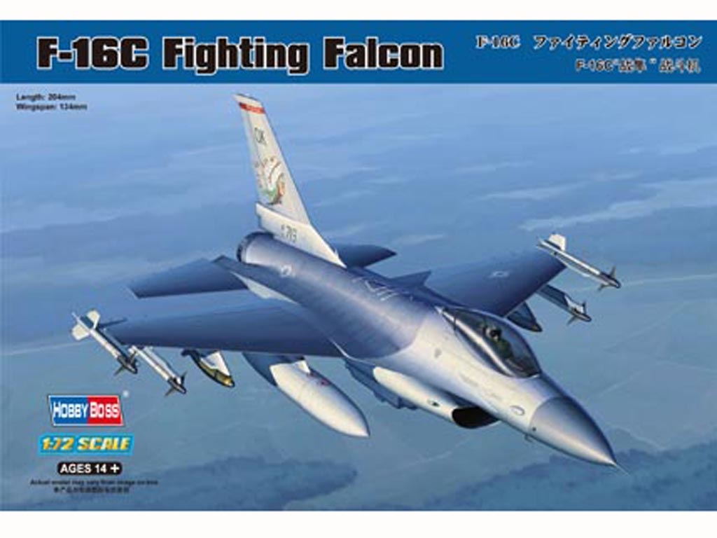F-16C Fighting Falcon  (Vista 1)