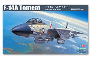 F-14A Tomcat  (Vista 1)